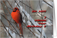 Red Cardinal In Snow - Belated Birthday Card