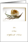 Dried White Rose - Sympathy Card