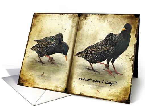 What Can I Say? - Birds card (585548)