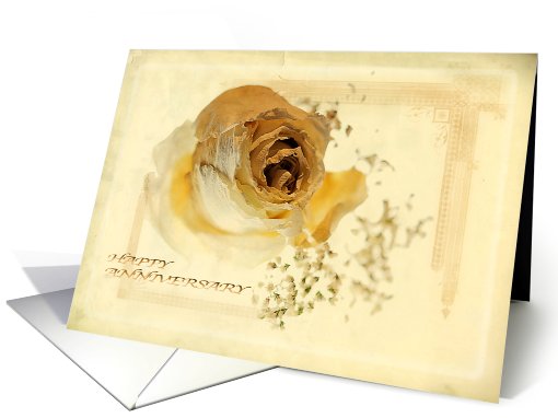 Antique Rose - Anniversary card (586066)
