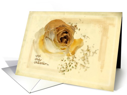 Antique Rose - Mother's Day - Mom card (586207)