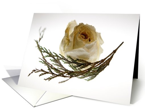 Mother's Day Mom, White Rose card (603131)