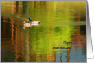 Mallard Pair - Happy Anniversary card