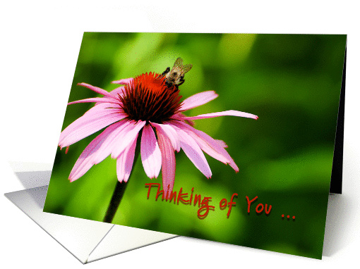 Thinking of You - Bee and Flower card (629045)