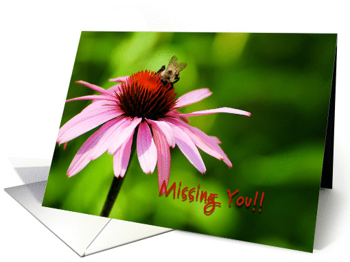 Missing You - Bee and Flower card (629046)