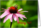Missing You - Bee and Flower card