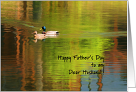 Happy Father’s Day Husband - Mallard Pair card