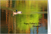 Happy Father’s Day Grandad - Mallard Pair card