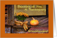 Thinking of Granddaughter at Thanksgiving, Basket of Mums, Pumpkin card