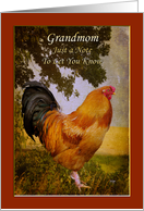 Thinking of Grandmom Vintage Chanticleer Rooster Card