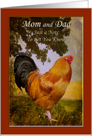 Thinking of Mom and Dad Vintage Chanticleer Rooster card