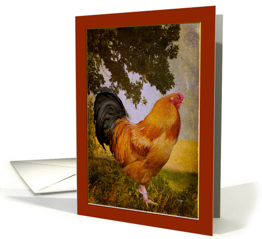 Blank Vintage Chanticleer Rooster card (966435)