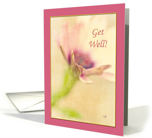 Lavender Bordered Floral Get Well card (966549)
