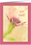 Lavender Bordered Floral Get Well Card