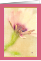 Lavender Bordered Floral Blank Card