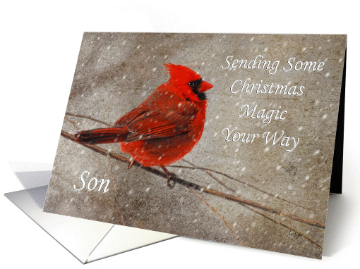 Christmas Magic For Son Red Cardinal In Snow card (977503)