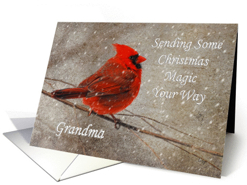 Christmas Magic For Grandma Red Cardinal In Snow card (977505)