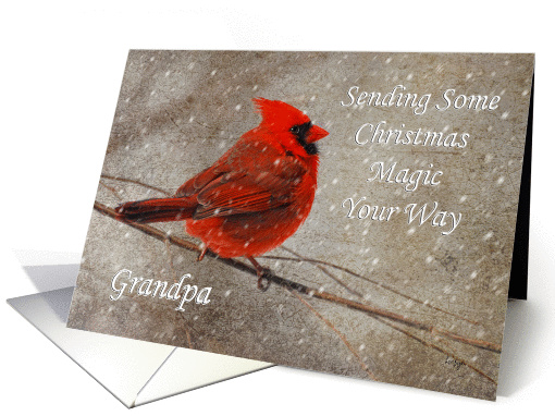 Christmas Magic For Grandpa Red Cardinal In Snow card (977507)
