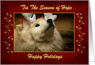 ’Tis The Season of Hope Happy Holidays Samoyed Dog Blank Inside card