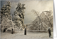 Snow Laden Trees In Wintry Blizzard Blank Card