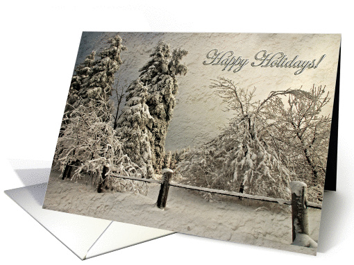 Happy Holidays Anyone Snow Laden Trees In Wintry Blizzard card
