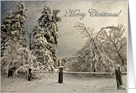 Merry Christmas Anyone Snow Laden Trees In Wintry Blizzard card