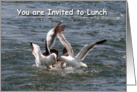 You are invited to lunch seagulls card