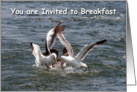 You are invited to breakfast seagulls card
