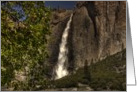 Yosemite Water Fall card
