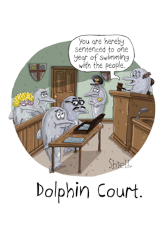 Dolphin Court...