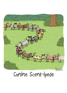 Canine Scent-ipede....