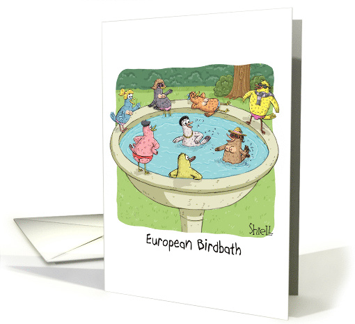 European Birdbath Birthday card (1671416)