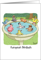 European Birdbath Birthday Card