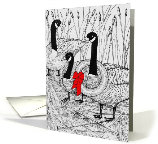 Canadian Geese Christmas card (482952)