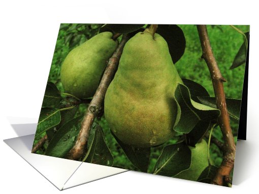 Anniversary - A Great Pair - Pear card (484086)