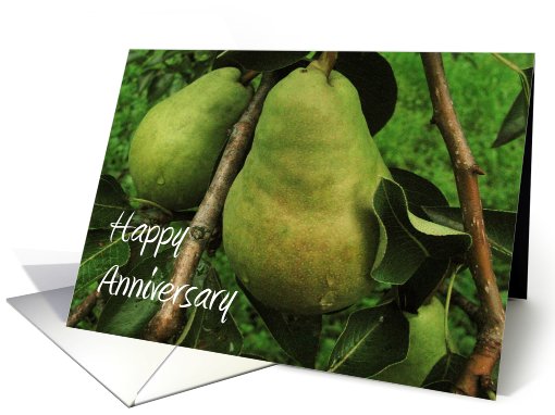 Happy Anniversary You make a great pair! card (484687)