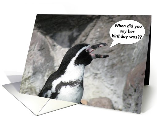 Penguin Belated Birthday card (488736)