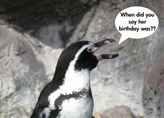 Penguin Belated...