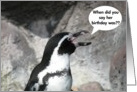 Penguin Belated Birthday card