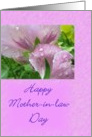 Mother-in-Law Day card