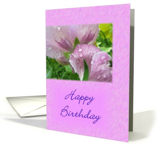 Happy Birthday card (492195)