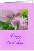 Happy Birthday card