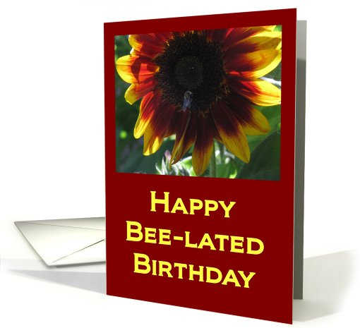 Happy Bee-lated Birthday card (493450)
