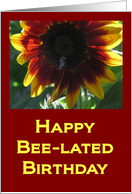 Happy Bee-lated Birthday card