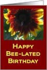 Happy Bee-lated Birthday card