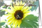 Happy Bee-lated Birthday card