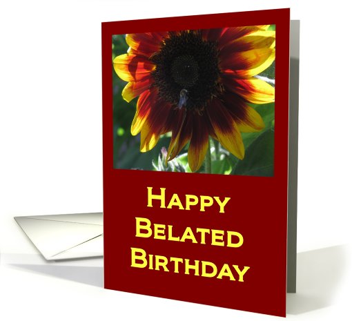 Happy Belated Birthday card (493452)