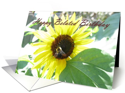 Happy Belated Birthday card (493454)