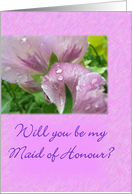 Will you be my Maid of Honour? card