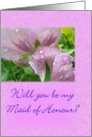 Will you be my Maid of Honour? card